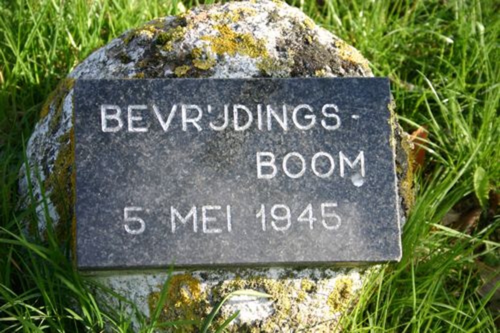 Bevrijdingsboom Anloo