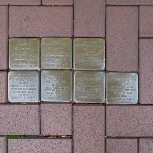 Stolpersteine Biesenkamp 6 #1