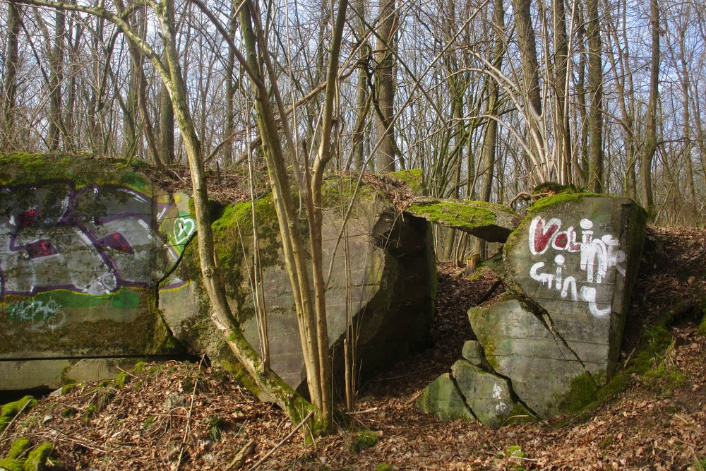 Westwall - Bunker Restanten Augustiner Wald #1