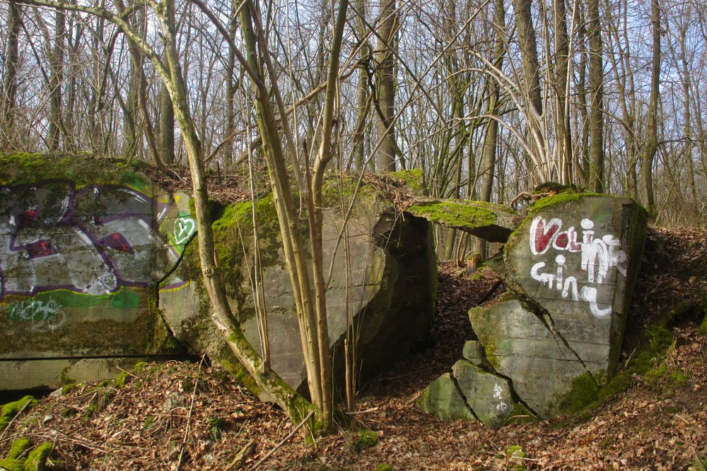 Westwall - Bunker Remains Augustiner Wald #1