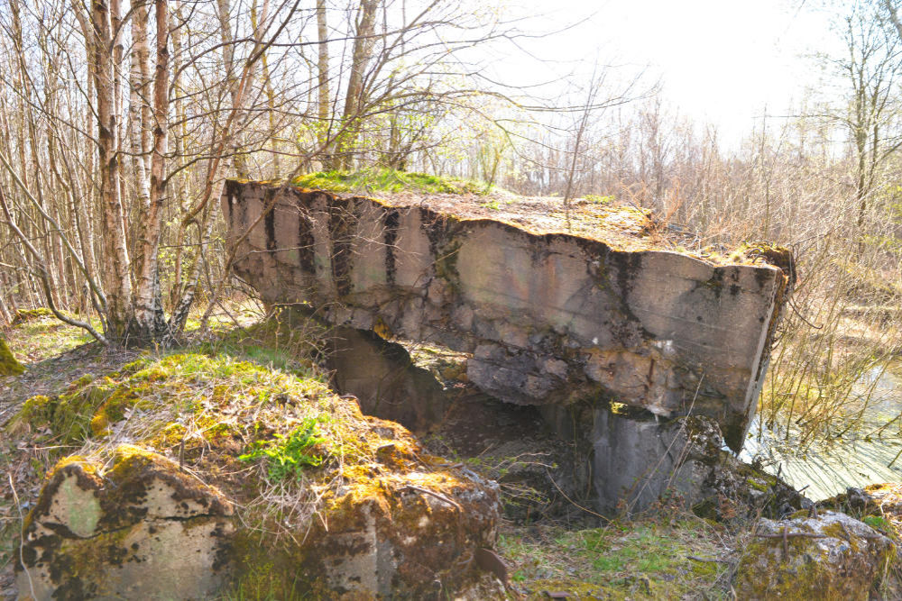 Bunker 359/360 Todtenbruch #2