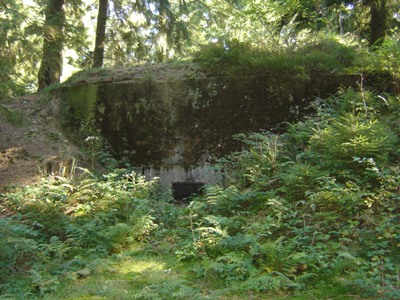 Pillbox No. 135 on Der Buhlert #2