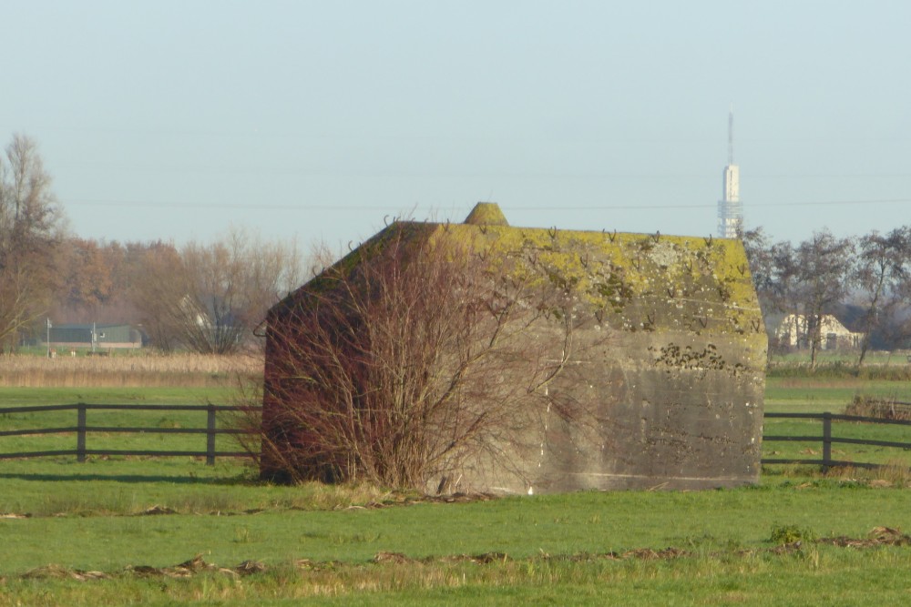 Groepsschuilplaats Type P Fort Ruigenhoek #1