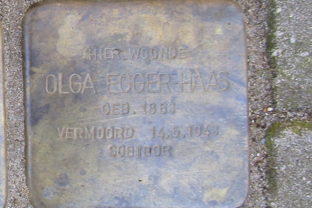 Stolpersteine Van der Does de Willeboissingel 31 #3