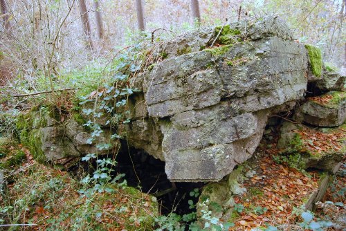 Remains German MG-Bunker Groeneburg Wood #1