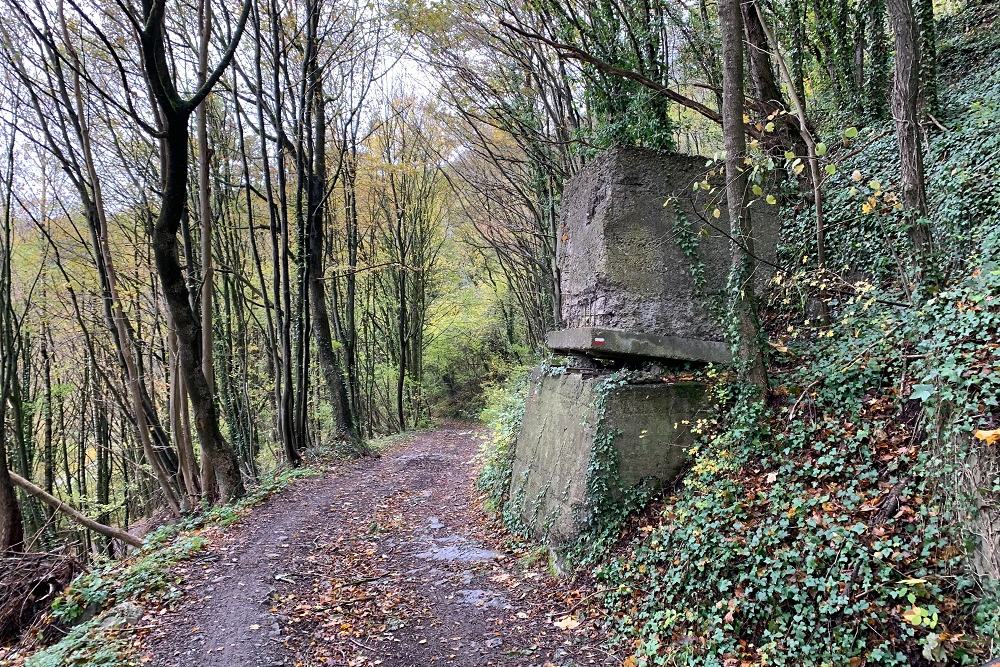 Roadblock Fort Fléron #4