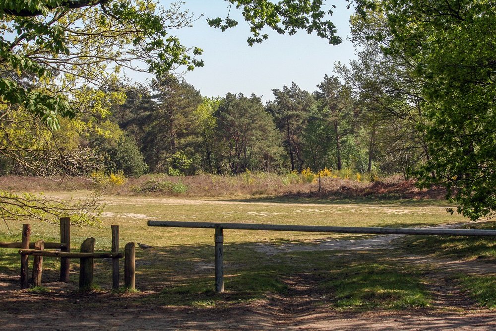 Voormalig Militair Terrein Rijen #1