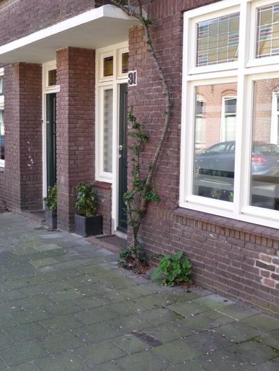 Stumbling Stones Sint Martinusstraat 31 #2