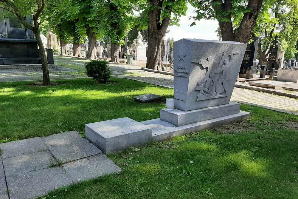 Monument for Writer Jovan Popovic #1