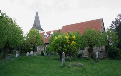 Oorlogsgraf van het Gemenebest St. Peter and St. Paul New Churchyard #1