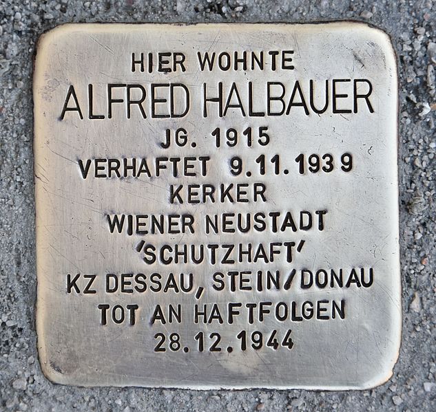 Stumbling Stones Matthias Schönerer-Gasse 10