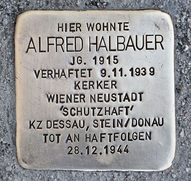 Stolpersteine Matthias Schnerer-Gasse 10