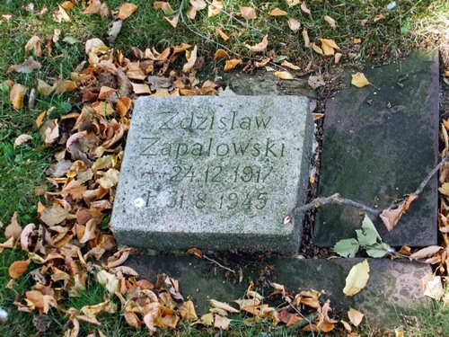 Polish War Graves Furstenau #3