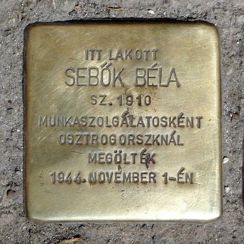 Stolpersteine Frankel Le utca 21-23 #3