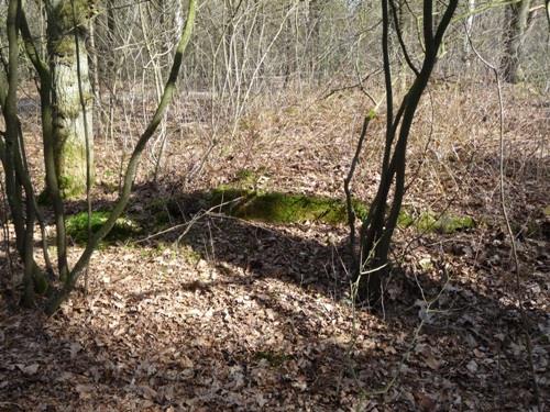 Group Shelter Type 1918/II De Fransche Kamp #1