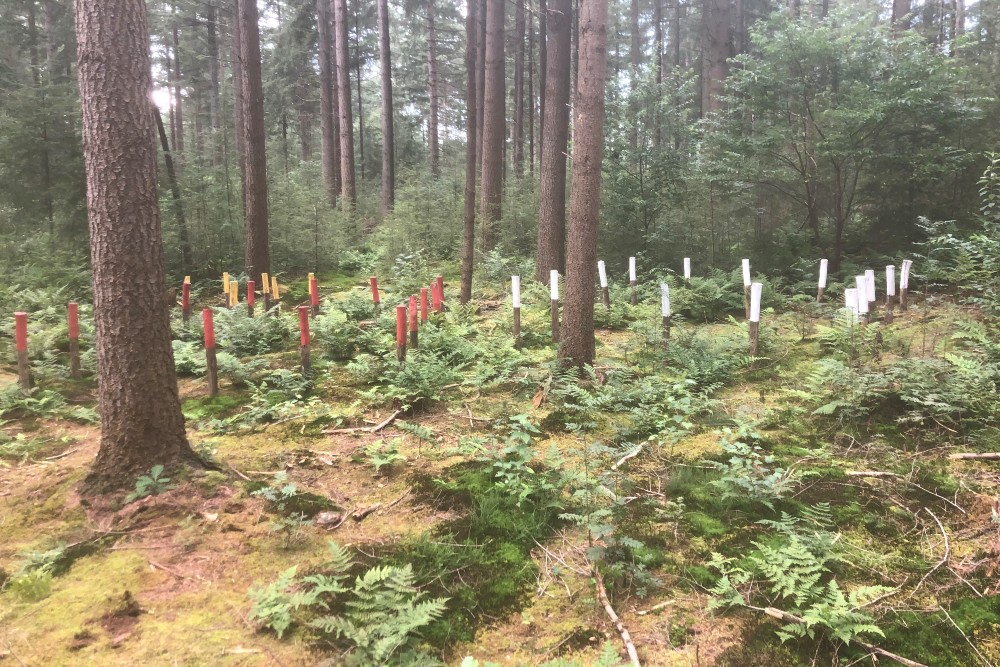 Bivouac Resistance Group Jos Bonvanie #3