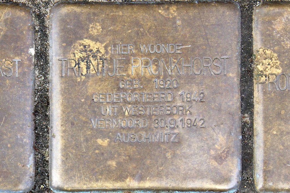 Stolpersteine Van der Vennestraat 95 #3