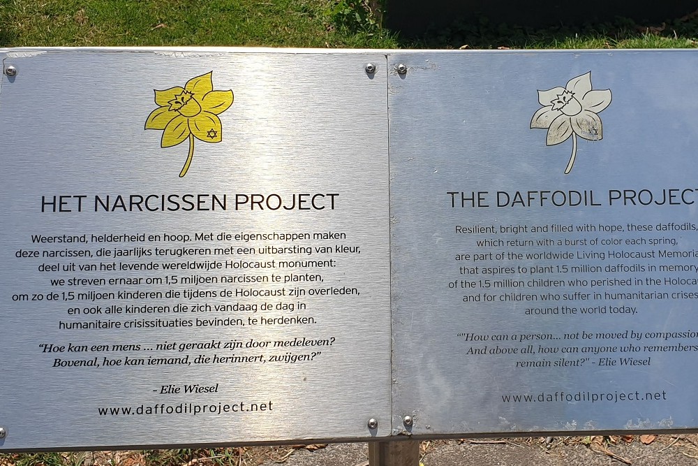 Memorial Artists Resistance & Daffodil Project #5