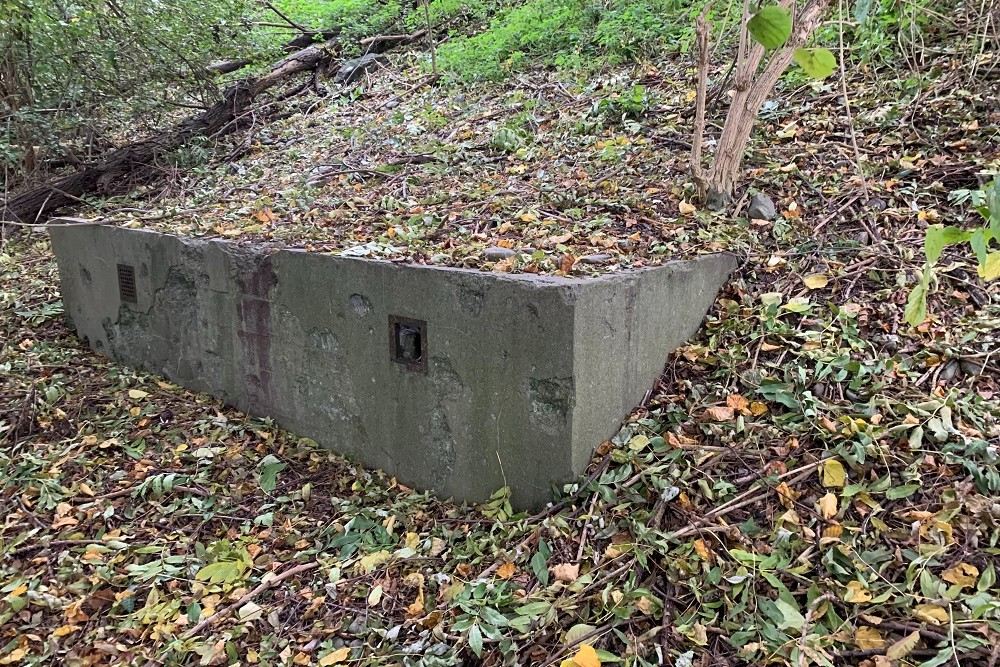 Bunker Vi 15 Visé #3
