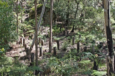 Tank Barrier Great Dividing Range #1