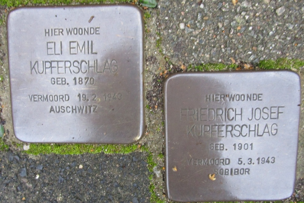 Stolpersteine Professor Pullelaan 9 #2