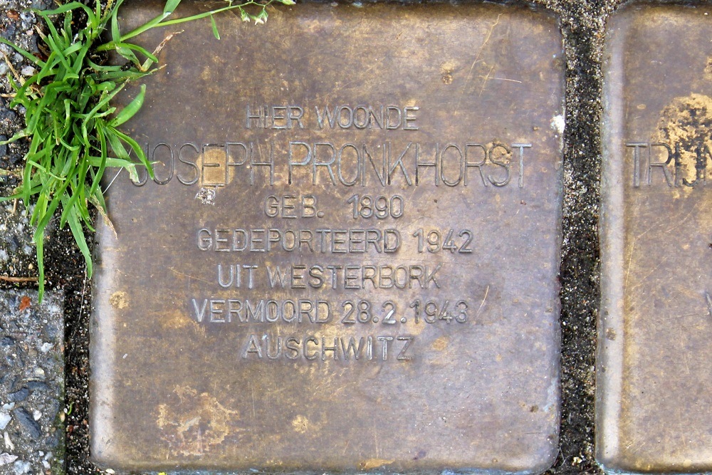 Stolpersteine Van der Vennestraat 95 #2