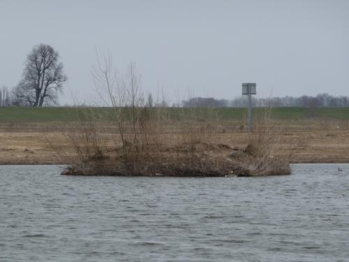 Onvoltooide Groepsschuilplaats Goilberdingerdijk