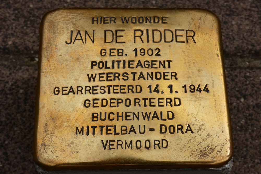 Stolperstein Gallifortlei 244