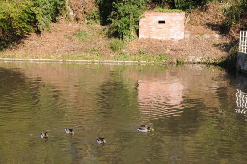 Pillbox FW3/26 Avoncliff