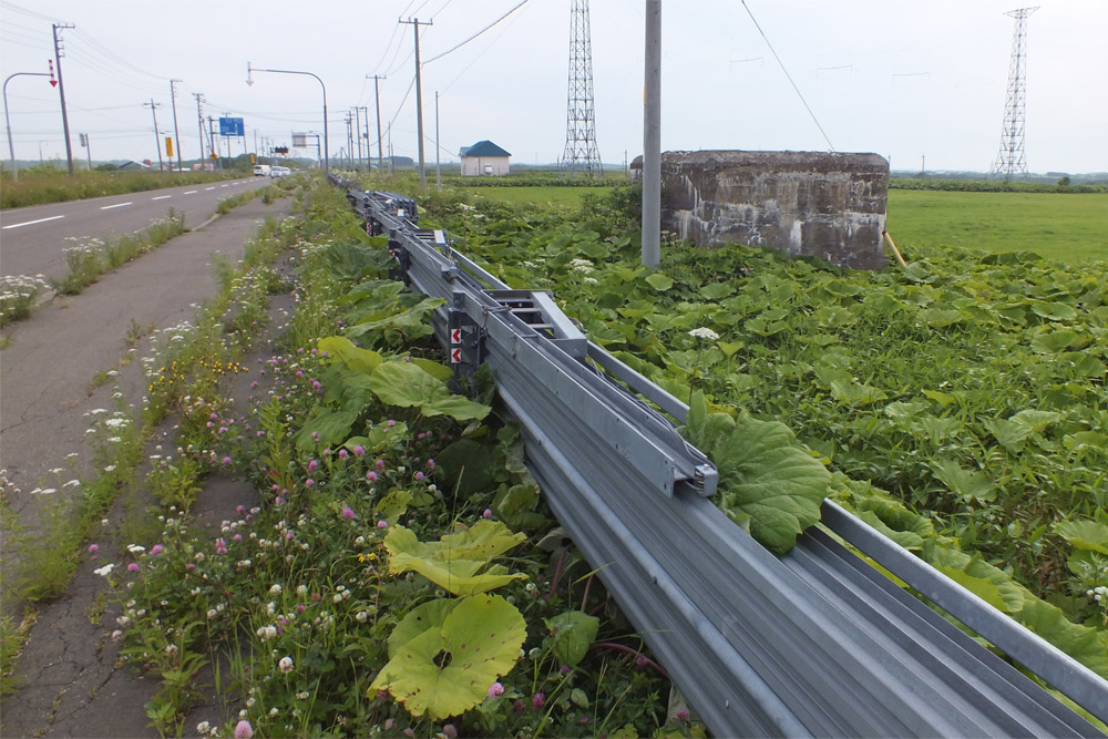 Japanse Bunker #1