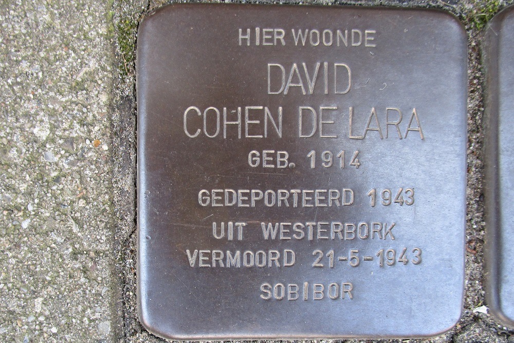 Stolpersteine Biesboschstraat 61 #2