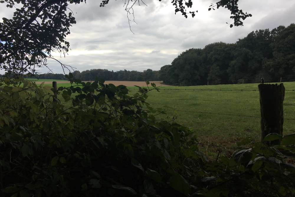 Foxholes Duivelsberg #4