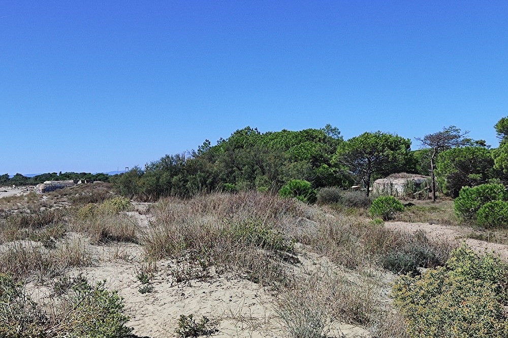 Bunker 638 Agde (La Tamarissiere) #3