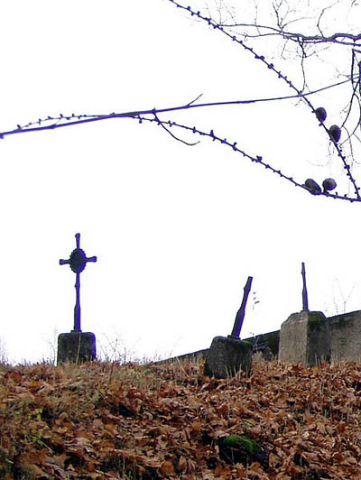 Oostenrijks-Duitse Oorlogsbegraafplaats Nr.105 - Biecz #1