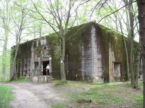 Führer Headquarters 