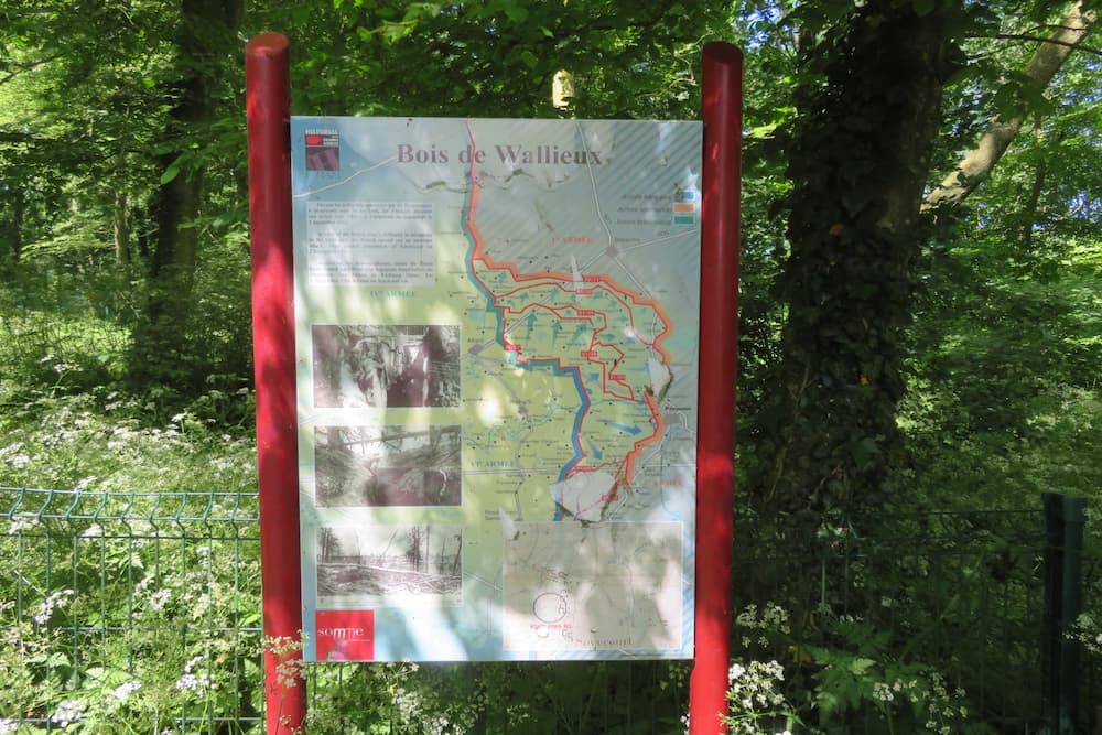 Forest de Wallieux Soycourt #1