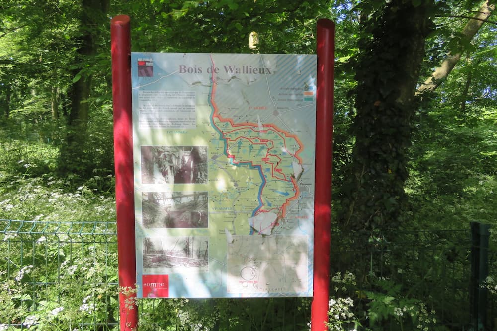 Bos van Wallieux Soycourt