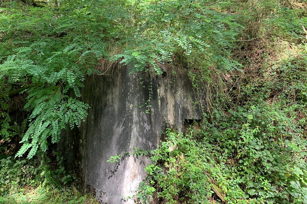Bunkers Lienne 10 Chevron #2