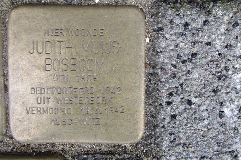 Stolpersteine Van Alphenstraat 116 #3