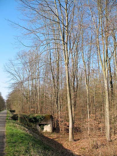 Maginot Line - Blockhaus Haute Digue 7