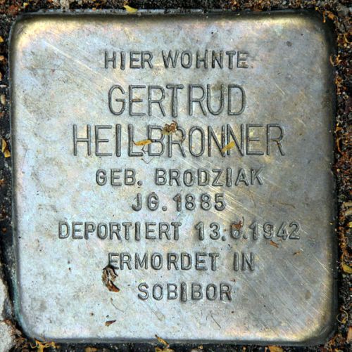 Stolpersteine Dernburgstraße 55 #3