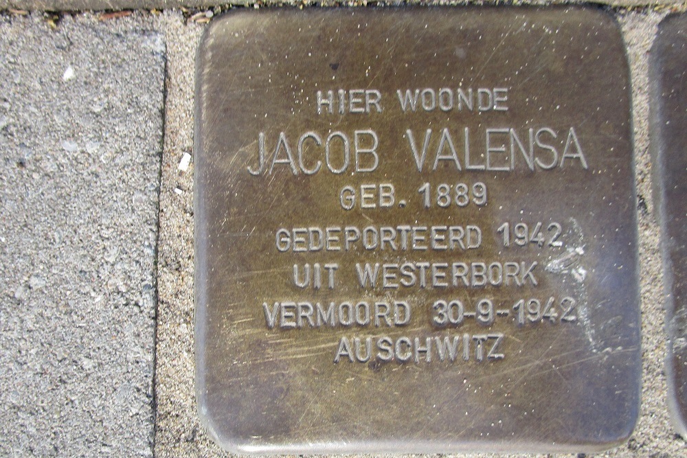 Stolpersteine Krugerstraat 3 #2