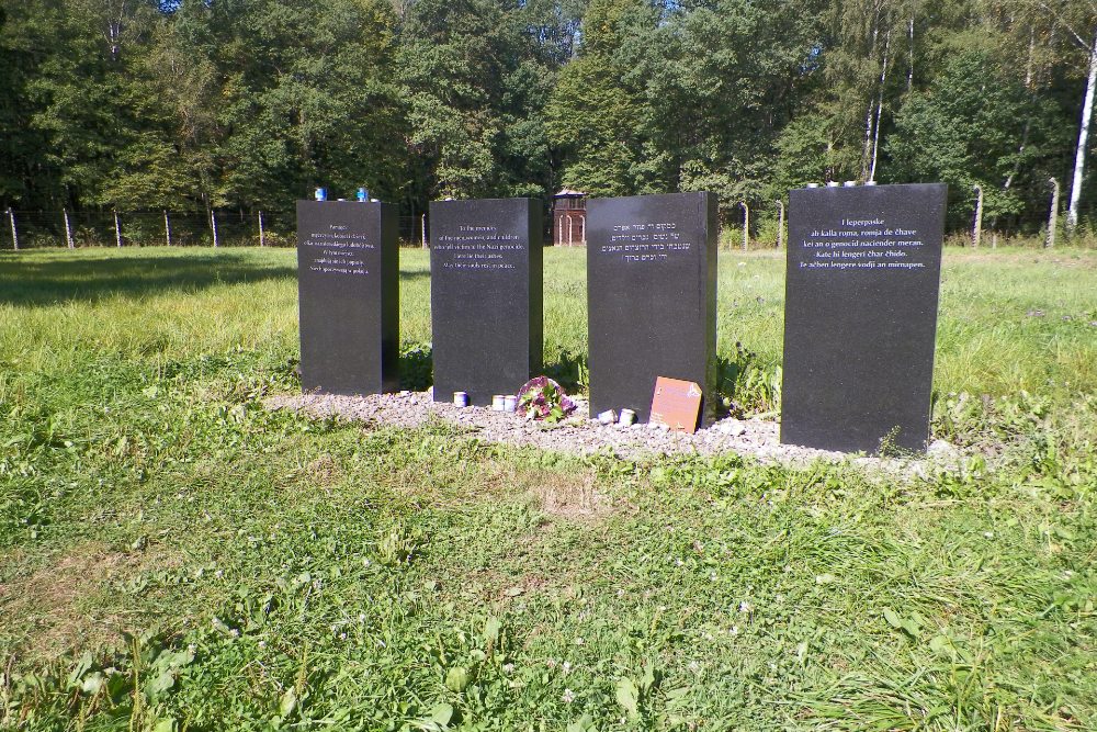 Remains Gas Chamber 5 Auschwitz II (Birkenau) #5