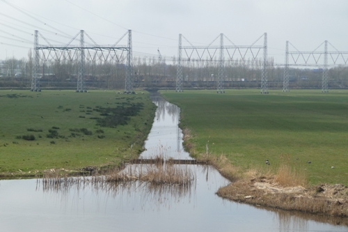 Tankgracht Watersnip