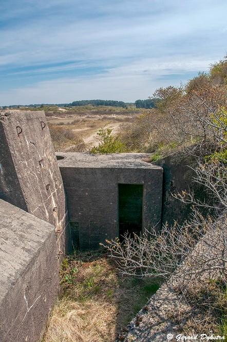 Atlantikwall - Walzkörpersperre #5