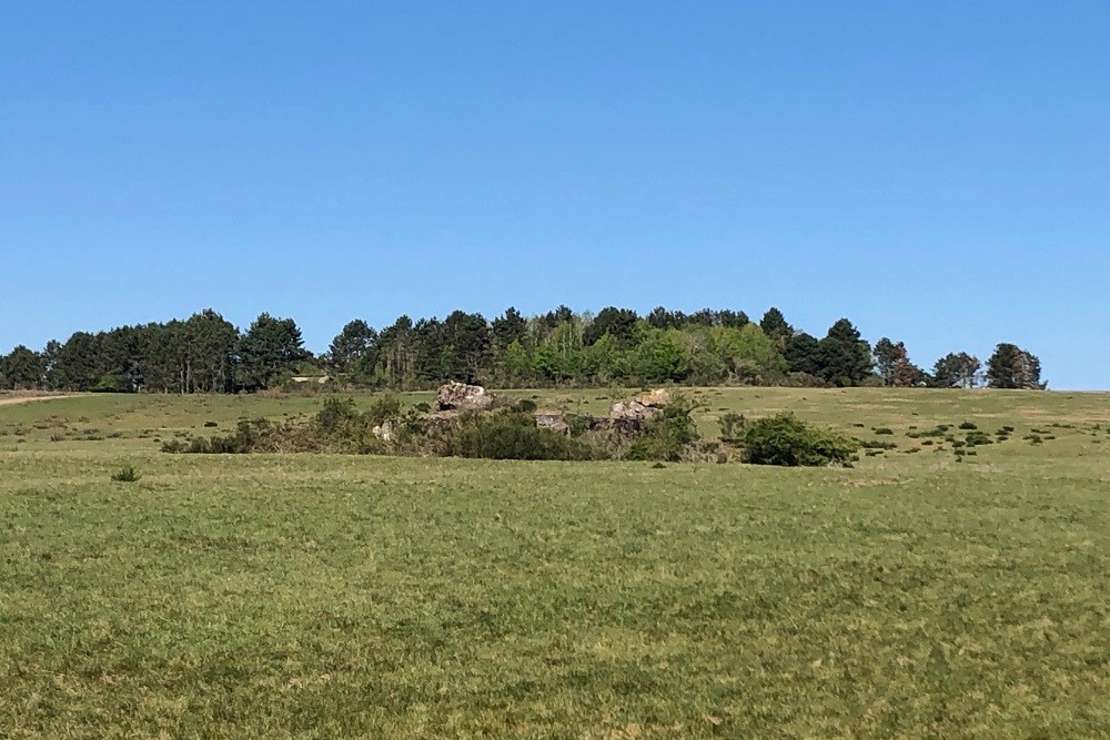 Igel position Vogelsang - Casemate Wollseifen