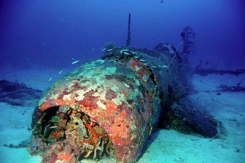 Crash Site & Remains Vought F4U Corsair Fighter Munda Deep #1