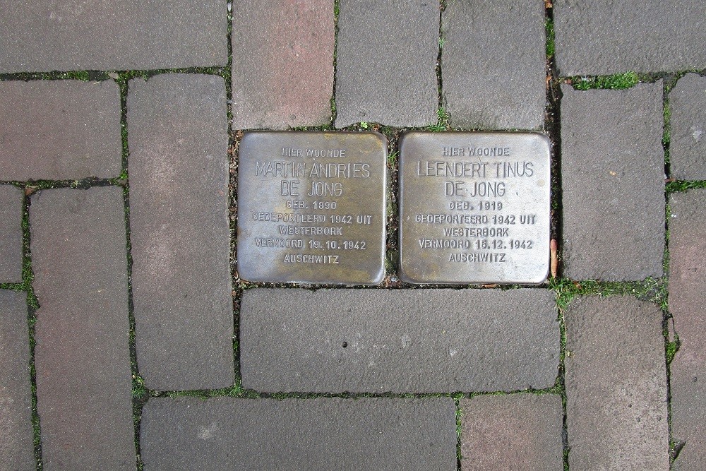 Stolpersteine Maliesingel 36