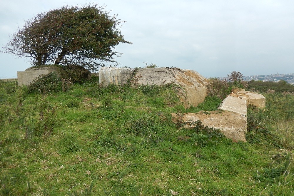 Widerstandsnest 260 Veilchen - L409 Geschtzstand fr 37mm Flak