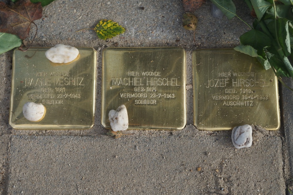 Stumbling Stones Amsterdamseweg 54 #1